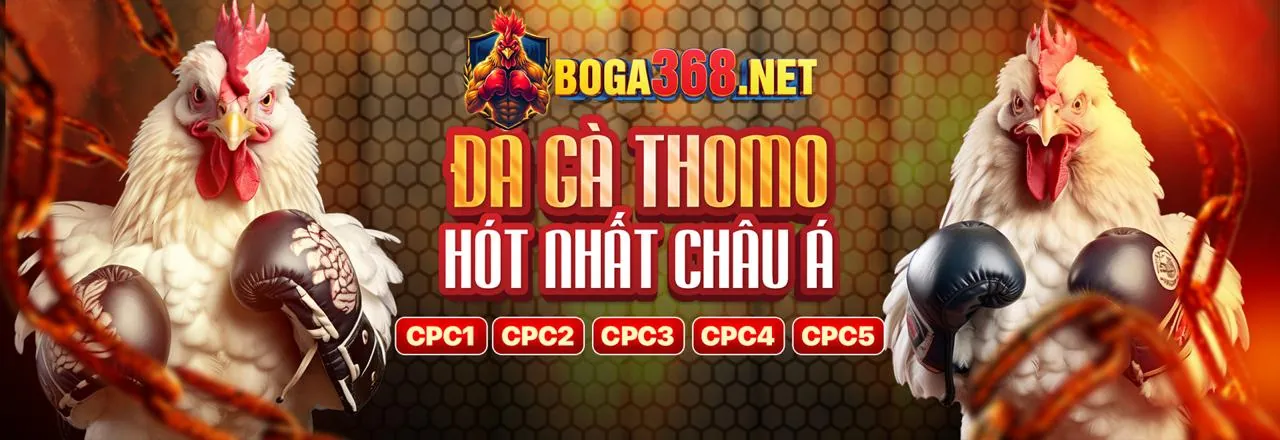Đá Gà Trực Tuyến Awin68 Uy Tín 2026